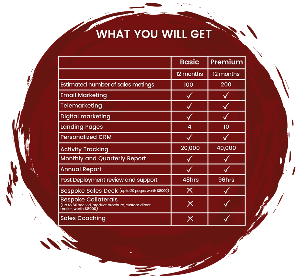 WHAT-YOU-WILL-GET_2
